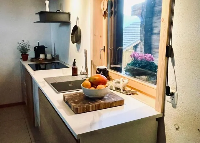 公寓 Huettli Weitblick 10 Minuten Zur Skigondel Und Aletschgletscher