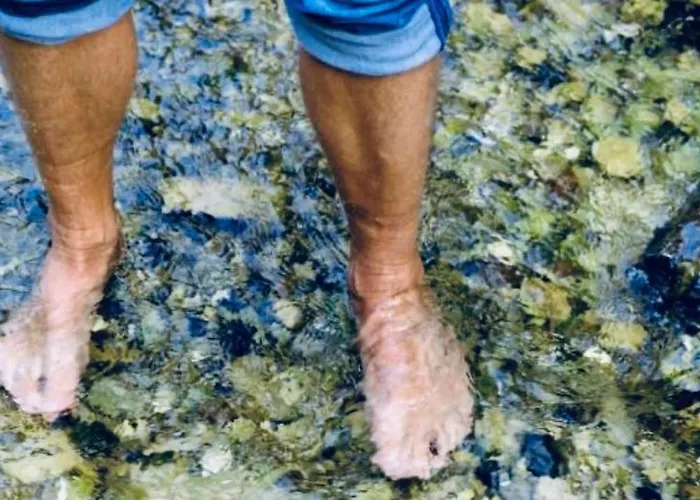 公寓 Huettli Weitblick 10 Minuten Zur Skigondel Und Aletschgletscher 纳特斯