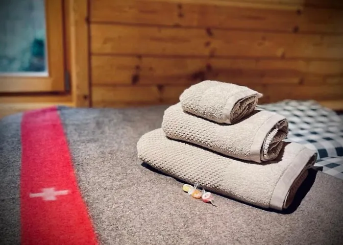 Huettli Weitblick 10 Minuten Zur Skigondel Und Aletschgletscher 纳特斯